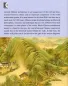 Mobile Preview: Ancient Chinese Wisdom: Stories of Ancient Chinese Architecture [Illustrierte Ausgabe]. ISBN: 9787532774135
