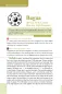 Preview: 100 Chinesische Lehnwörter im Englischen [Englische Ausgabe]. ISBN: 9787561959855
