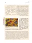 Preview: Facetten der chinesischen Kultur - Ein China-Lesebuch II [Chinese-German]. ISBN: 9787561936832