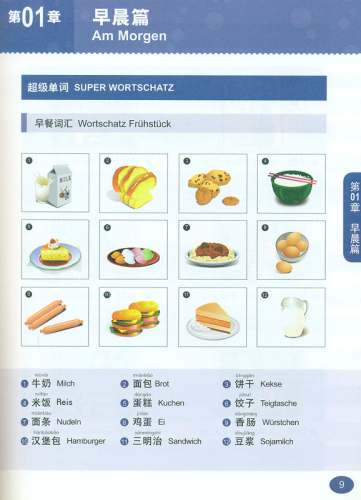 Chinesisch für Anfänger - Internsivkurs in 30 Tagen [chinesisch-deutsch] [+MP4-CD]. ISBN: 9787802008427