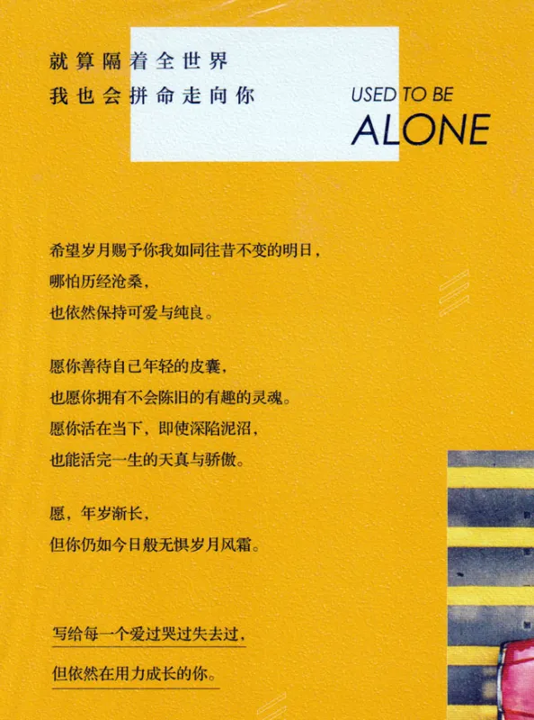 Rui Xi: Used to Be Alone [Chinesische Ausgabe]. ISBN: 9787540487676