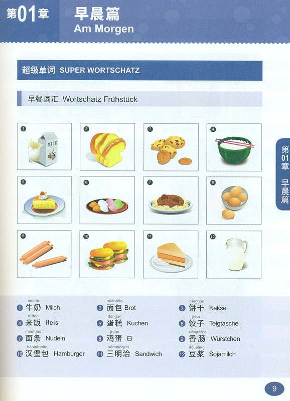 Chinesisch für Anfänger - Internsivkurs in 30 Tagen [chinesisch-deutsch] [+MP4-CD]. ISBN: 9787802008427
